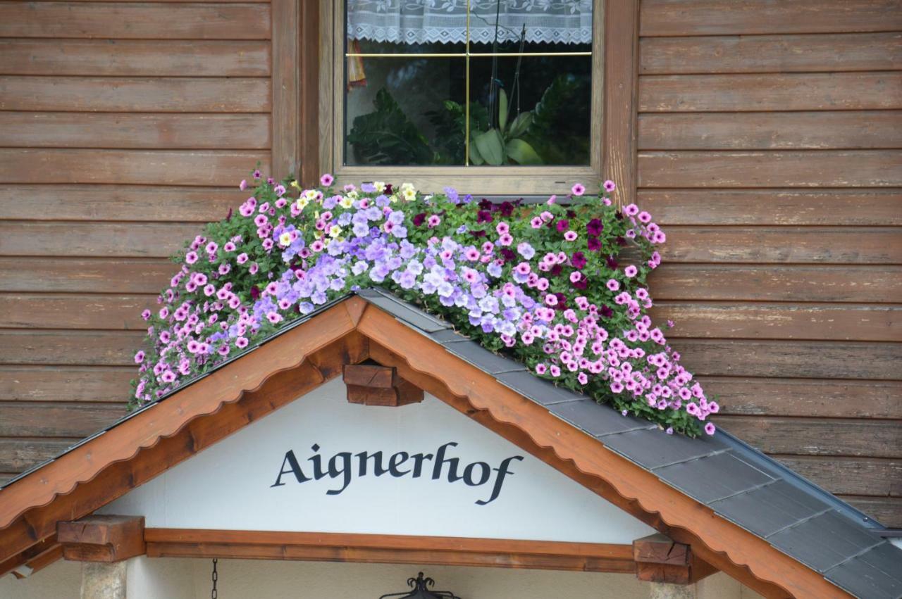 Aignerhof Villa Haus im Ennstal Dış mekan fotoğraf